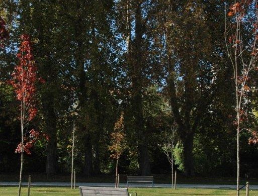 Parque de Trinitarios